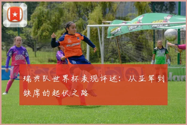 瑞典队世界杯表现评述:从亚军到缺席的起伏之路