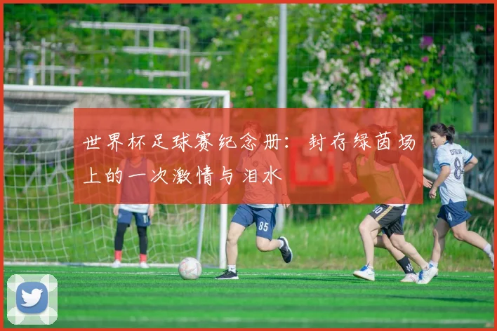 世界杯足球赛纪念册：封存绿茵场上的一次激情与泪水