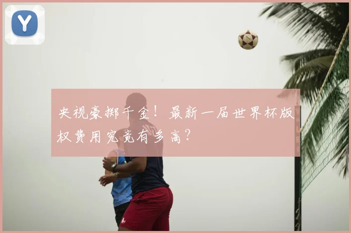 央视豪掷千金！最新一届世界杯版权费用究竟有多高？