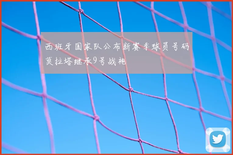西班牙国家队公布新赛季球员号码莫拉塔继承9号战袍