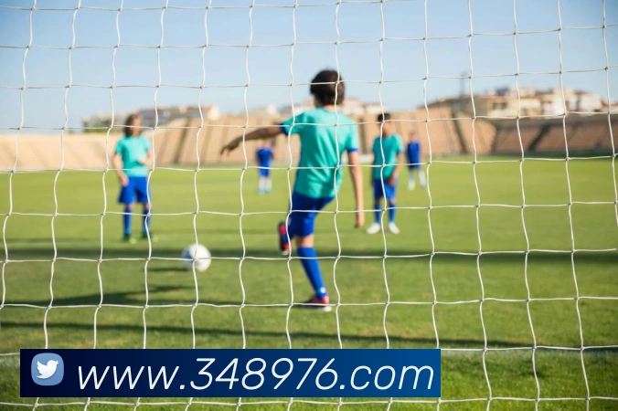 多媒体互动体验